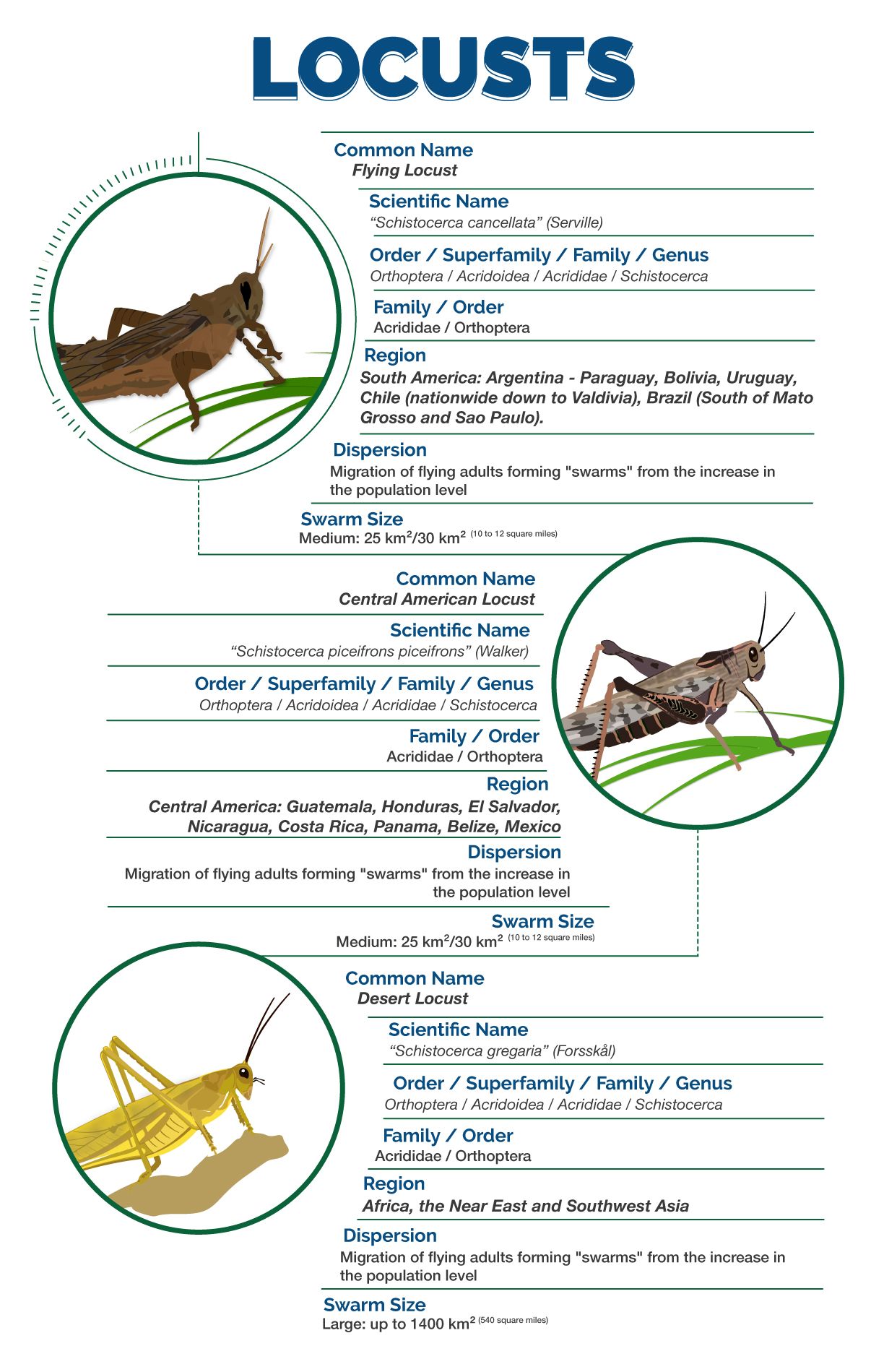 Locust Special 1