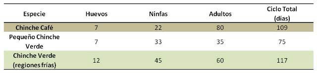 Ciclo de Vida de las Chinches de la Soya