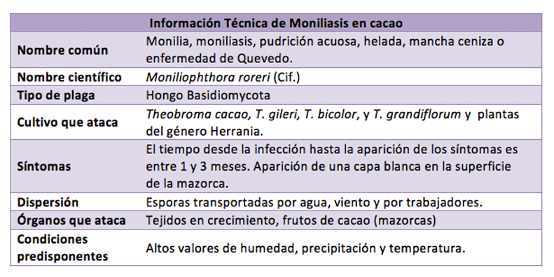 moniliasis