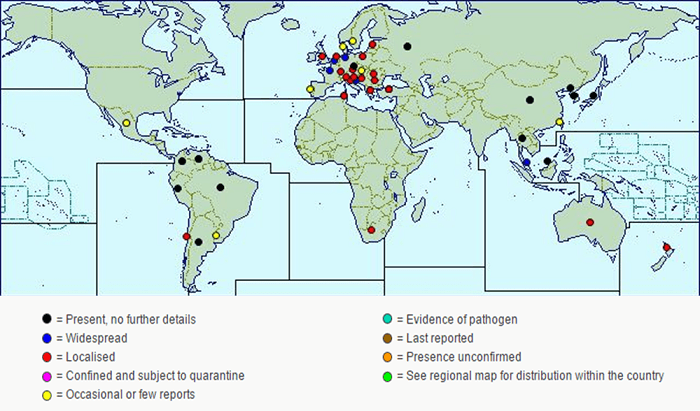 Lista de países con presencia de Roya Blanca