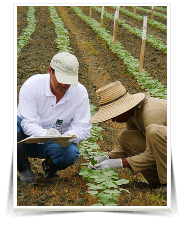 cuidagro-somos-foto1