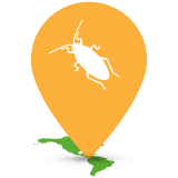 Pests maps