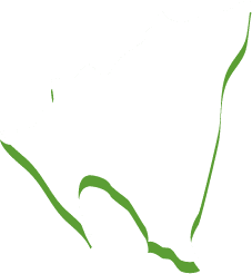 mapa honduras