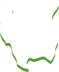 Image is not available