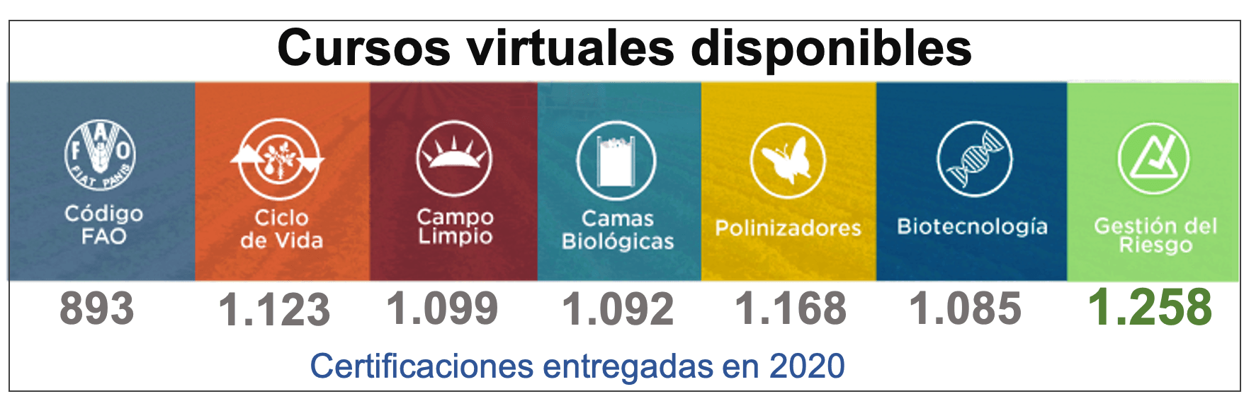 Cifras 2020 cursos