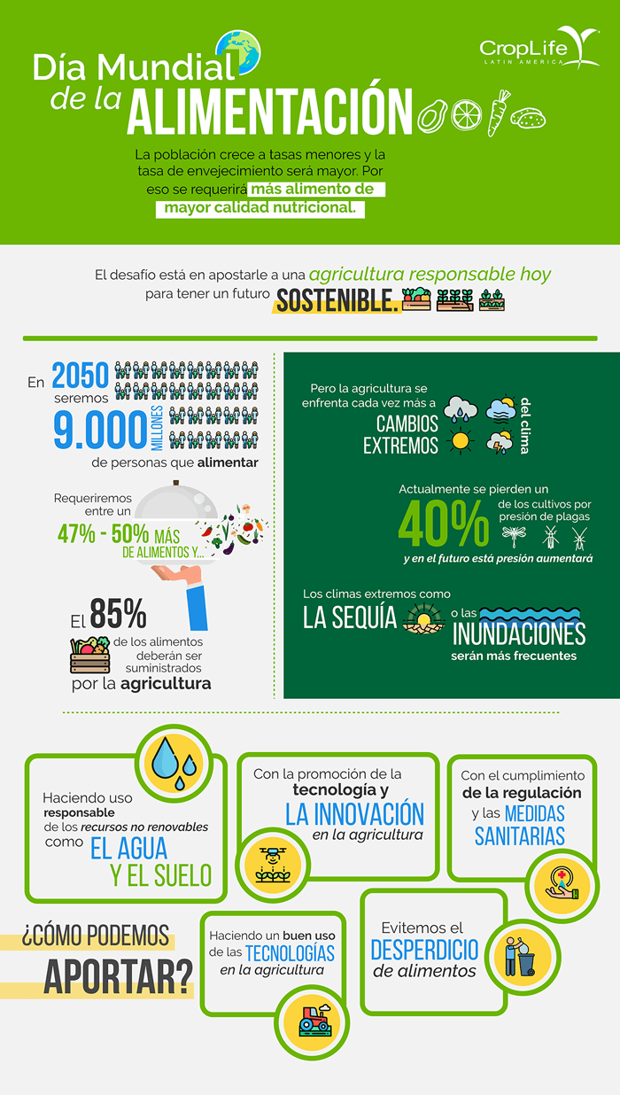 Infografia Alimentacion ajuste final