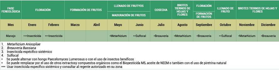 cuadros2