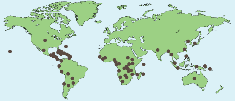 Mapa barrenador del Cacao