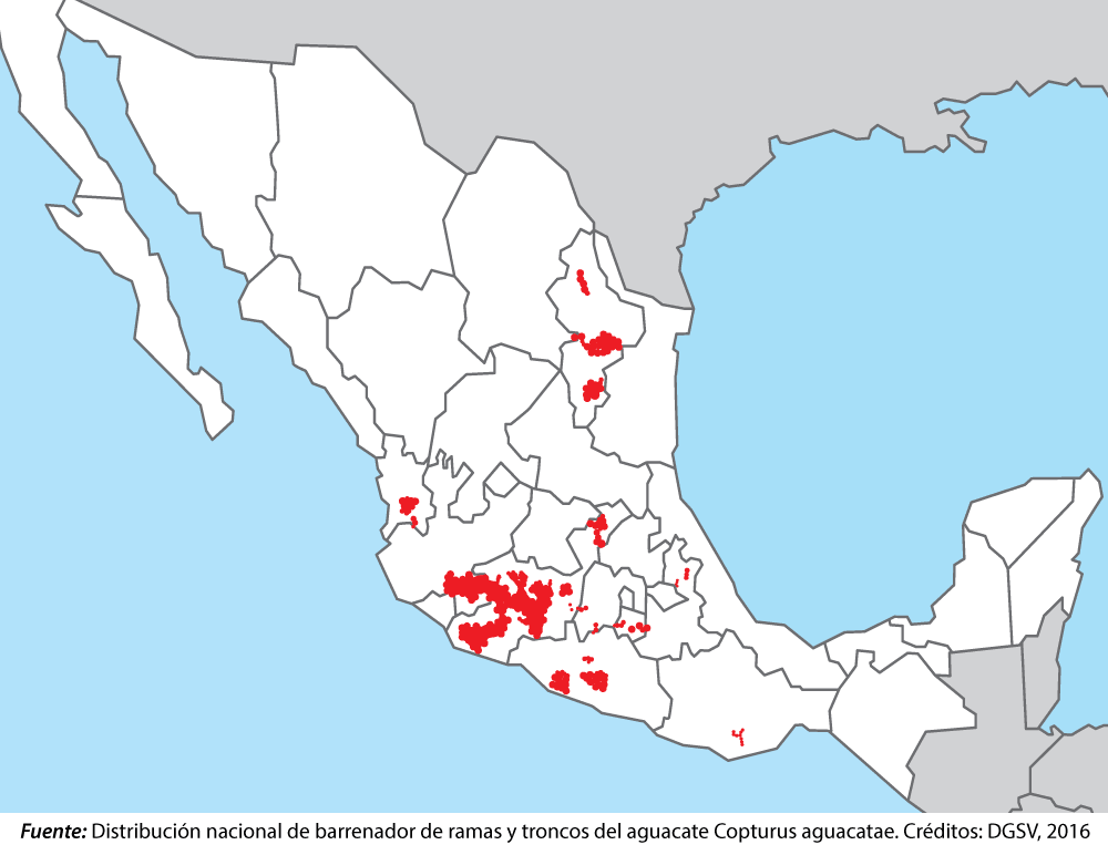 mapa barrenador en México