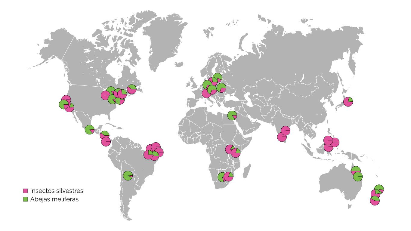 Mapa Polinización