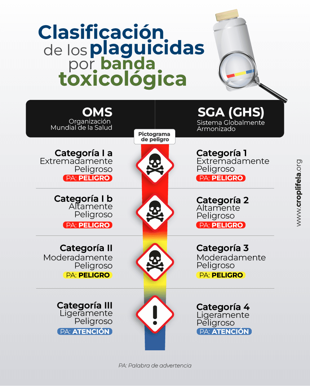 Clasificacion Etiqueta