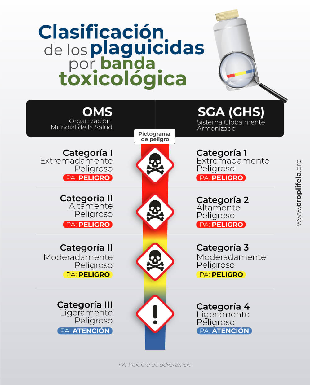 Clasificacion Etiqueta