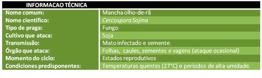 Info-tec-olho-de-ra-PT