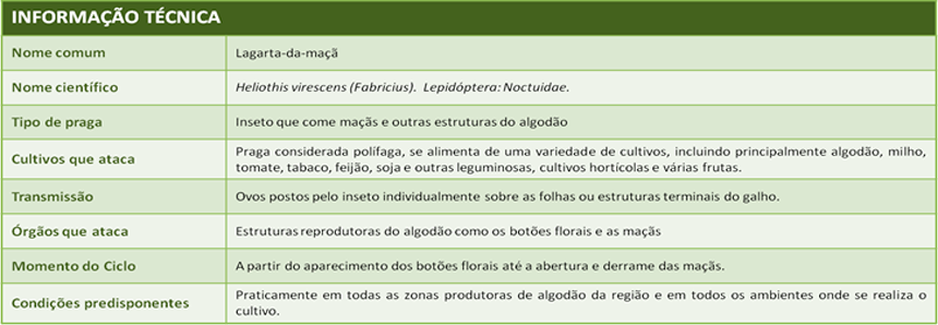 Info-tec-Lagarta-PT