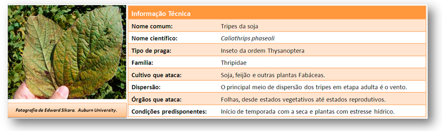 Info-tec-trips-PT