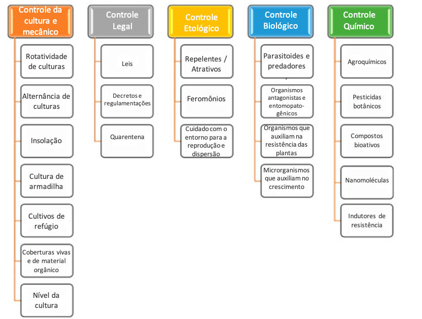 Estrategas CIP