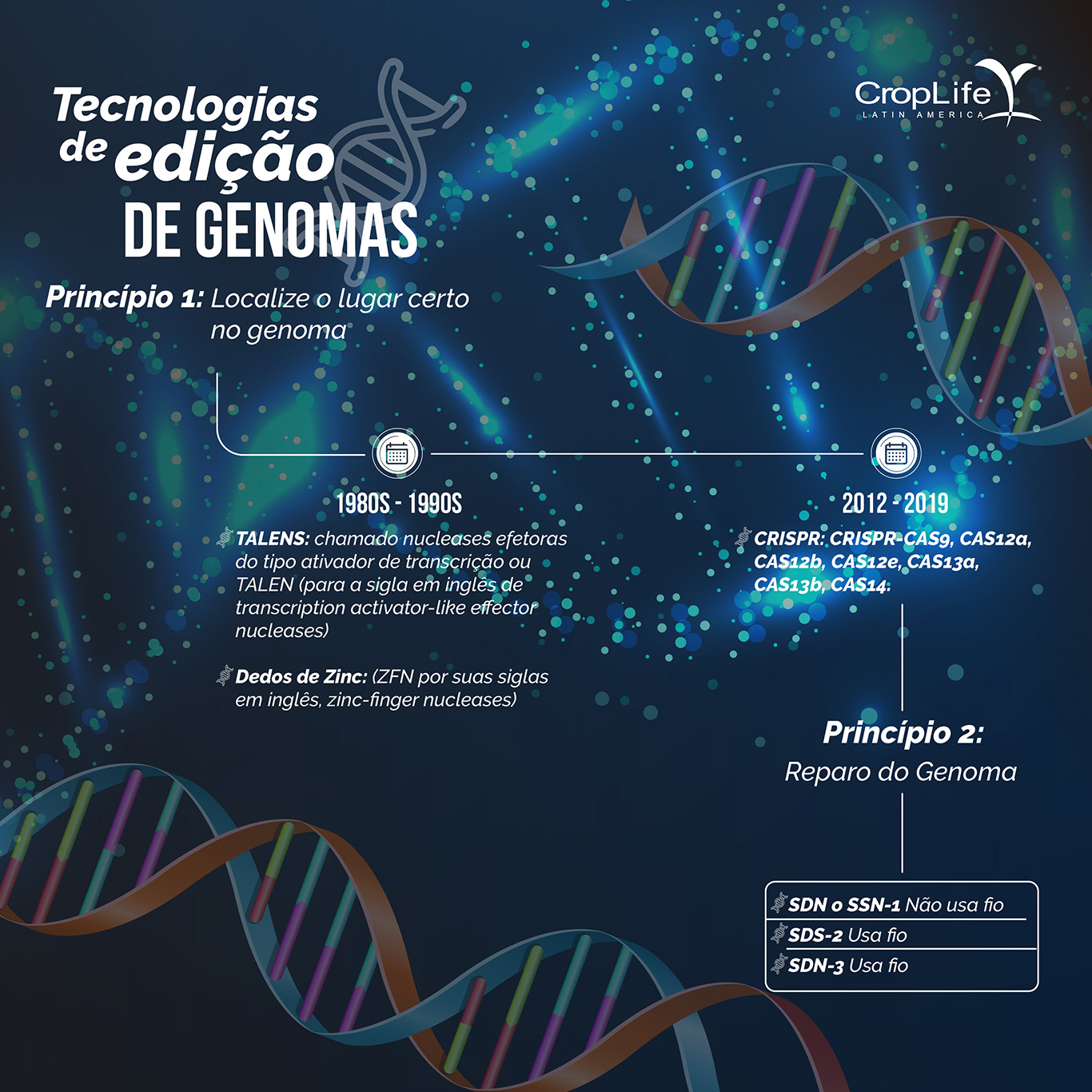 Infográfico_edição_de_genomas
