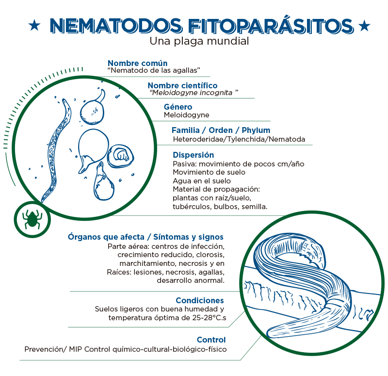 descripcion nematodos fitoparasitarios