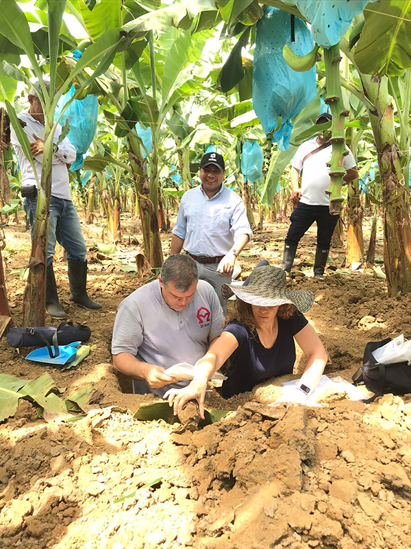 foto agri regenerativa