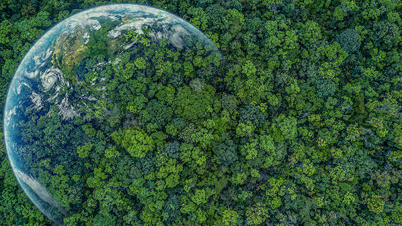 vista aerea tierra biodiversidad